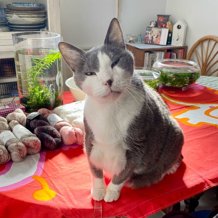 Bb3662ae ff12 4b91 bc48 bc0a0cf1dd2d 1767154542281