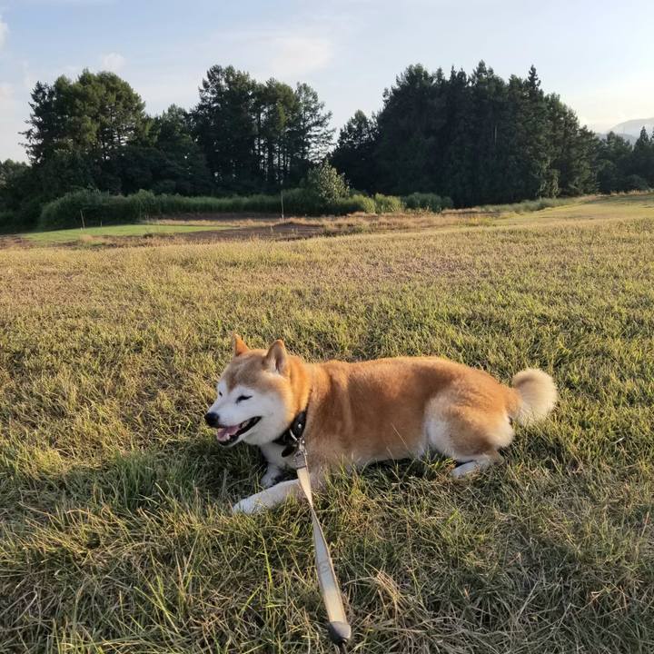 Bb368b1e 2407 4d8c 995d bc619caff82a 1693728744241