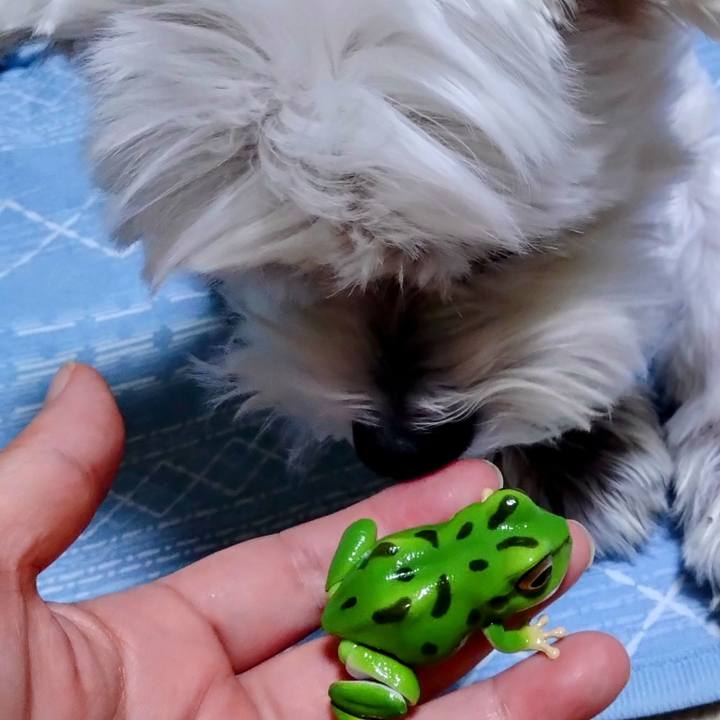 Bb3693bf 00f3 4c80 8ceb 6d37eb71c6c0 1724227769504