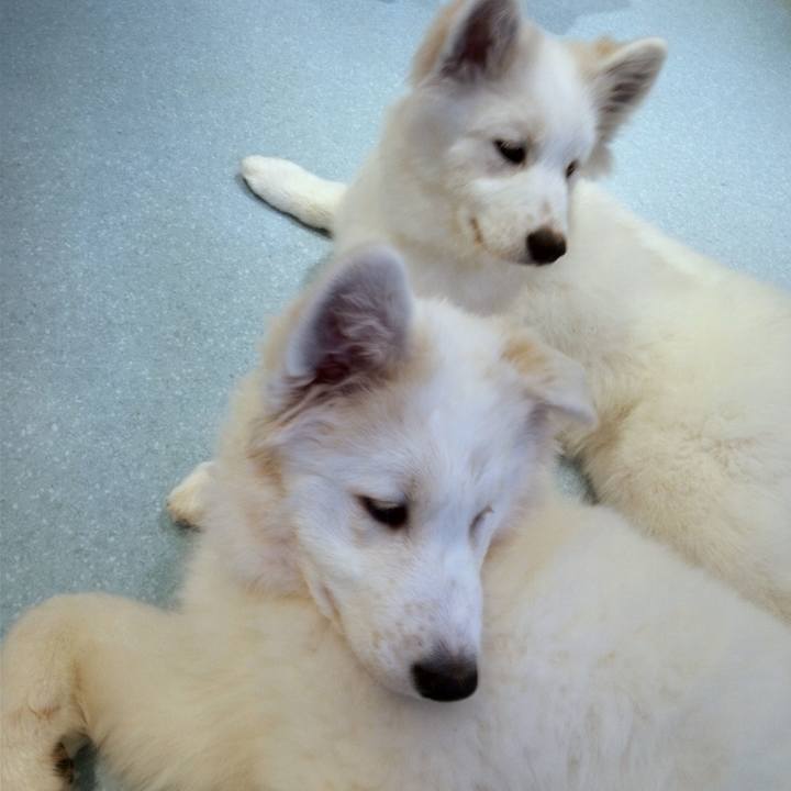 Bb3695c5 f131 4610 8810 dbc58cc1ecda 1758506807903