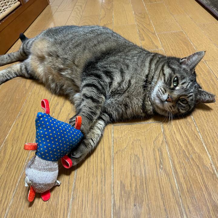 Bb36b5bd af06 4dc5 815f 279c4c9e2f20 1615893614850