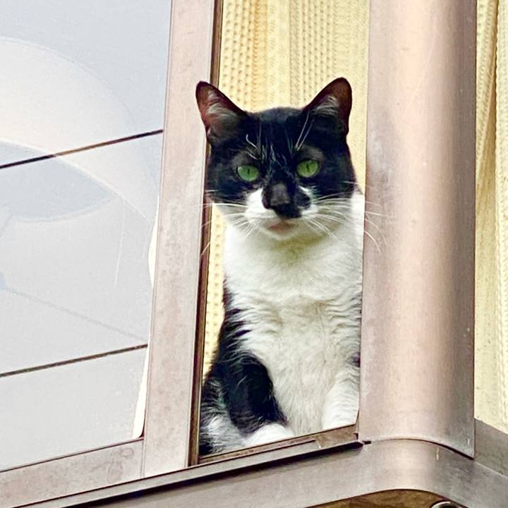 Bb36b766 7f0f 400e 9411 c87a7deca9f1 1716434386762