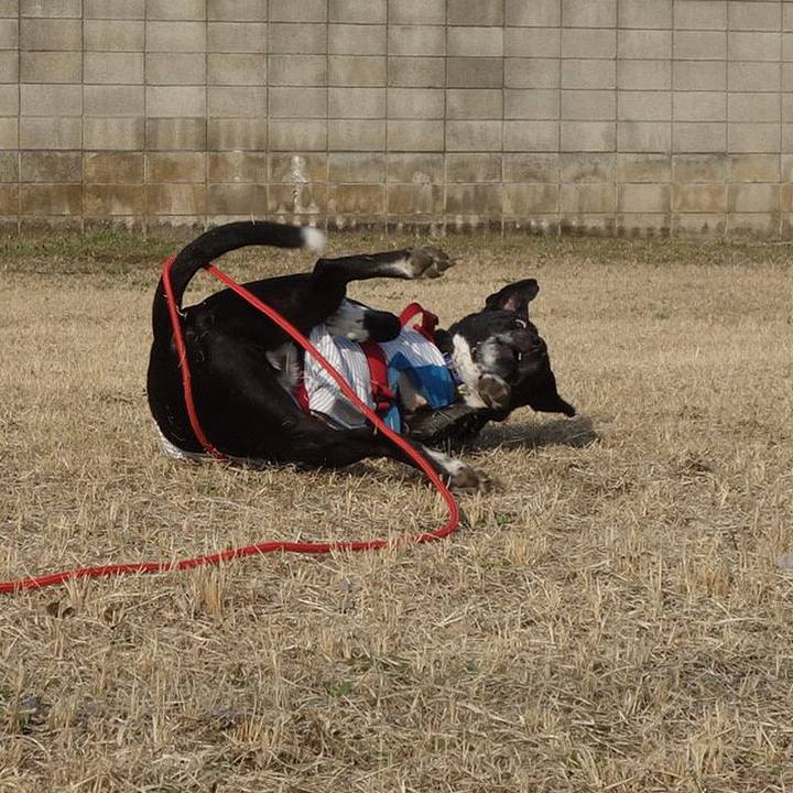 Bb370323 05fd 41e4 b018 b5f99678dc91 1678328086179