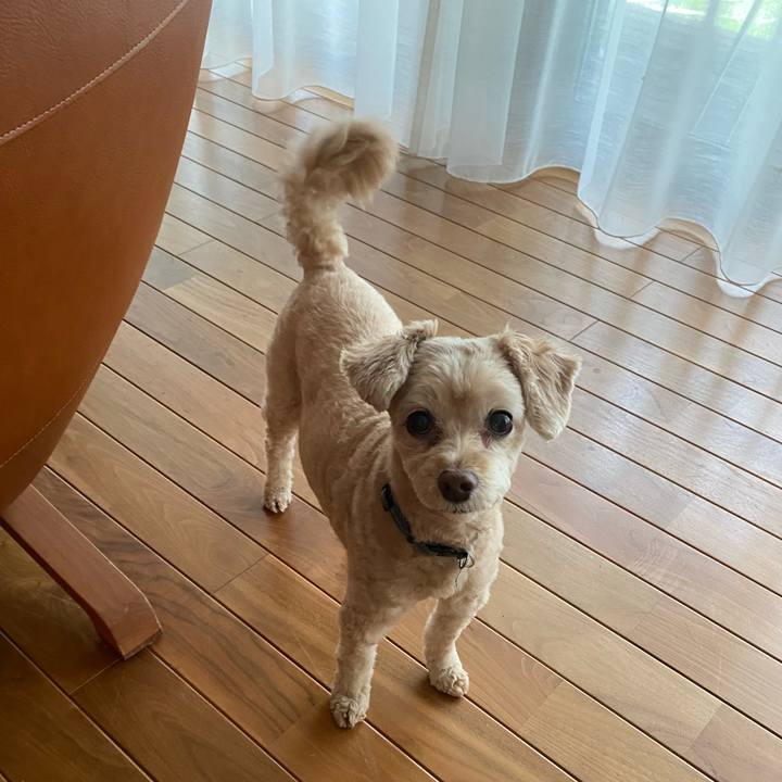 Bb375e8a a013 45e7 ad0b cd46cca57479 1599529243959