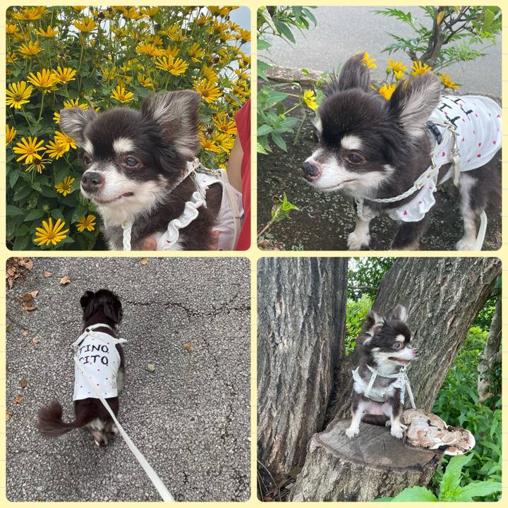 Bb377496 1f47 4594 9fbc 589e524e12ce 1724907523212