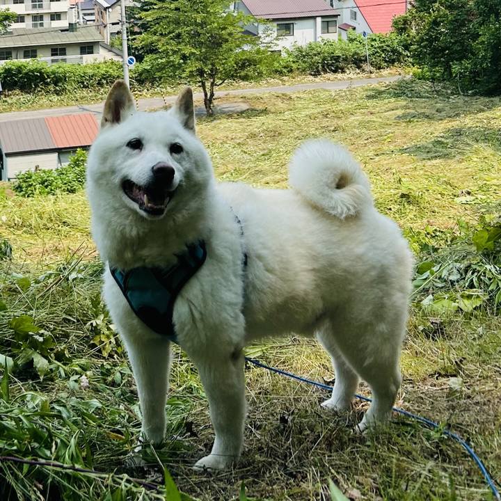 Bb377ce6 d12f 4940 8d3a c02b7d291fbf 1720667007001