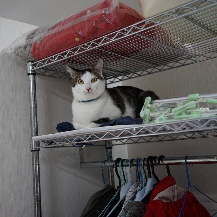 Bb37a1f5 4aab 4ee7 b446 c6840d2743ef 1510977215883