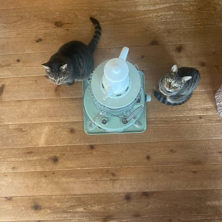 Bb37b8d9 1609 4f48 8257 4e6c1f7c7f04 1731973027608