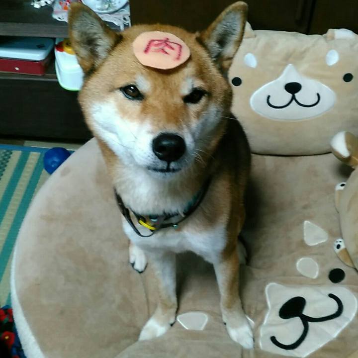 Bb38ba73 fe8c 459a bcce b473594ef3d4 1543451205485