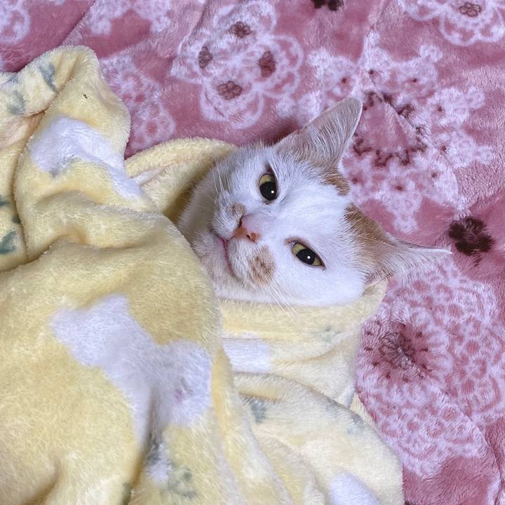 Bb38c7b9 d60f 416c b333 64acd87e29ae 1609325484333