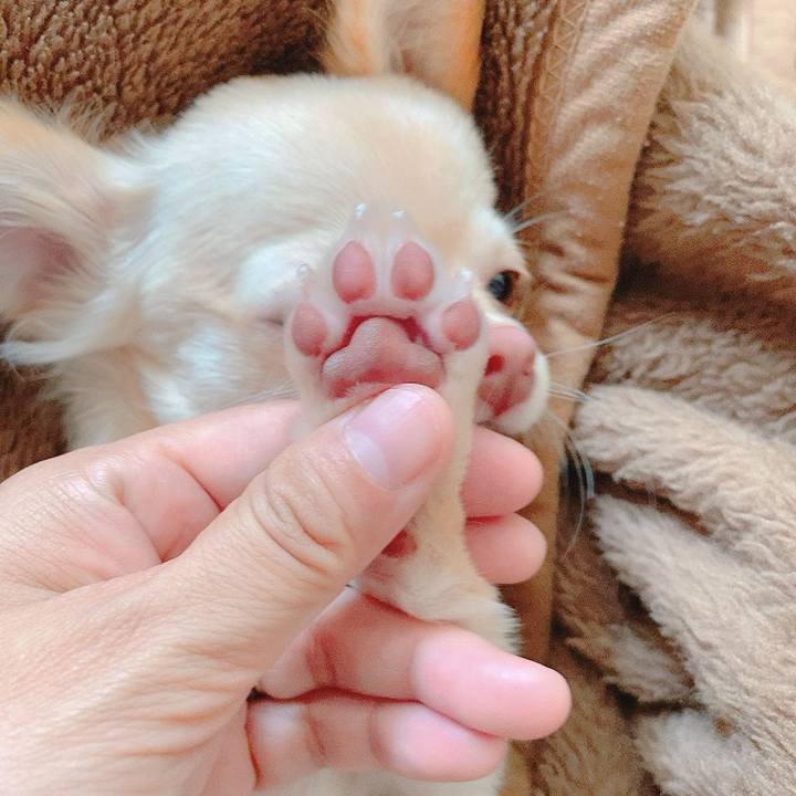 Bb38ce59 b308 4345 88e7 66c26fe38513 1595238552790