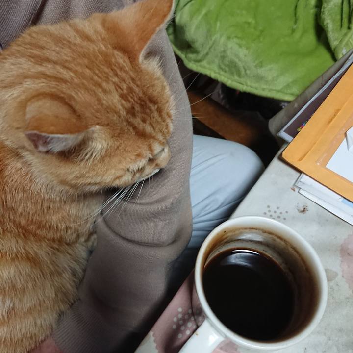 Bb38d623 a136 44e0 b93d a5846e48059d 1589401813210