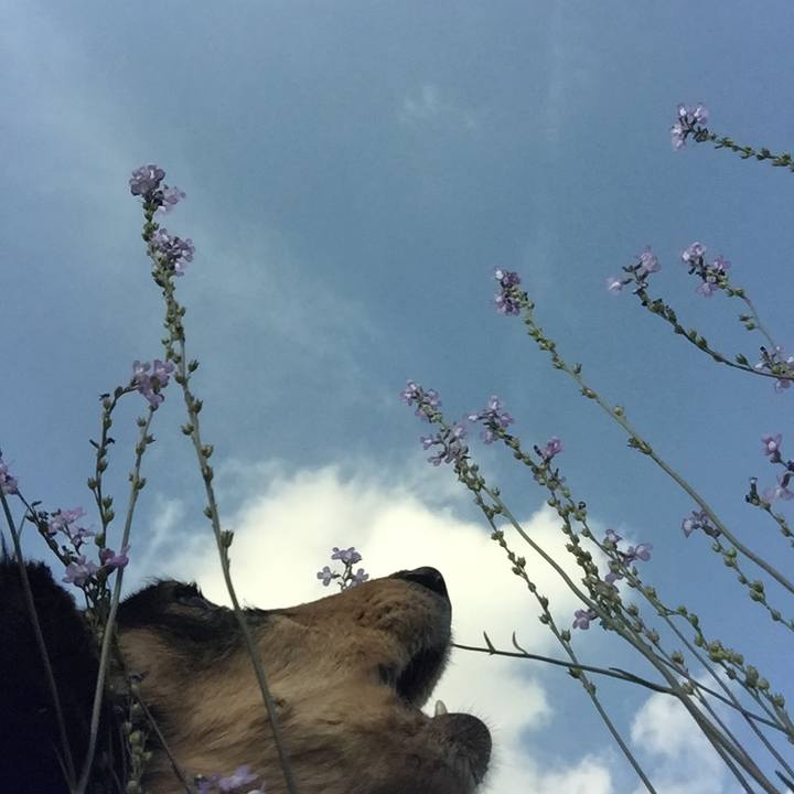 Bb38e94b b2ad 4899 a678 c7ce6f360abe 1525056200766