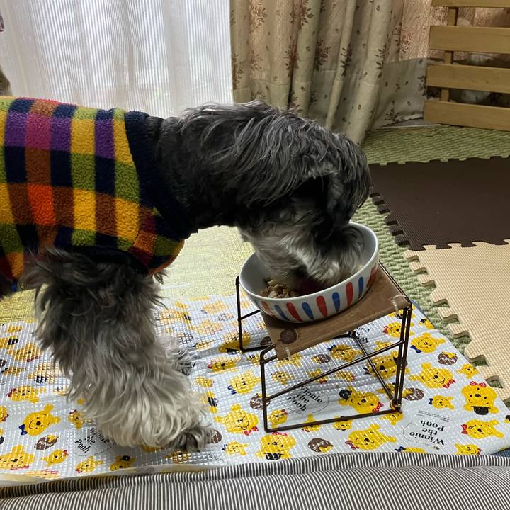 Bb390188 ca32 44f7 9de4 7bc590a8105e 1714265001580