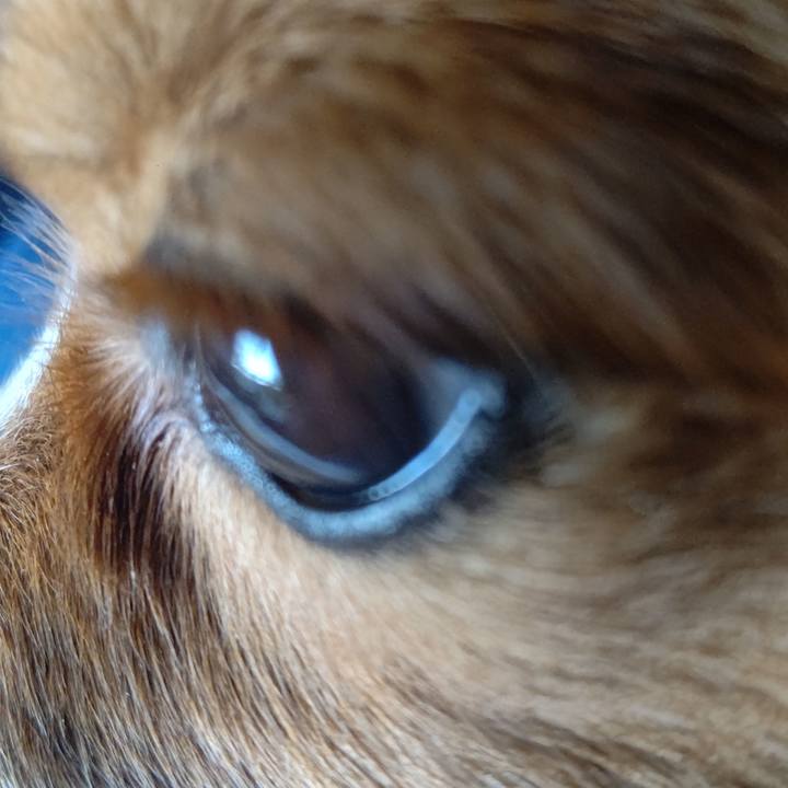 Bb39080d 48e6 45da 9647 44c455bc66a4 1636806068208