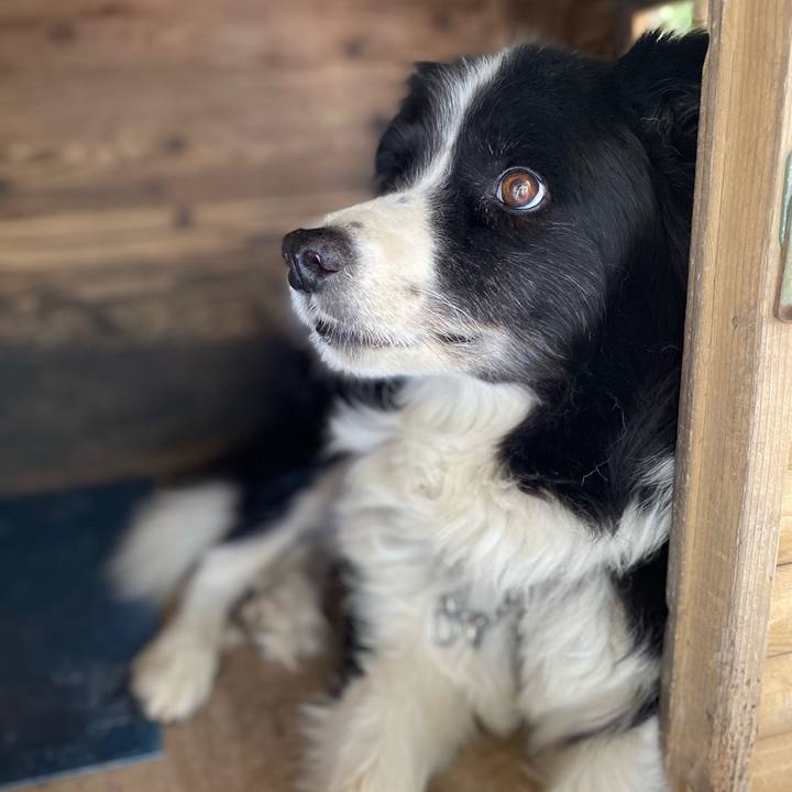 Bb3908fa ebcd 4f2f b89c 862fd789220e 1664753951464