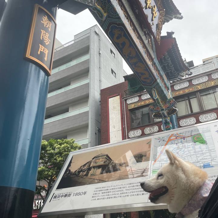 Bb3916c4 fbe6 4f8e 9d80 6ba24587328a 1695515096974