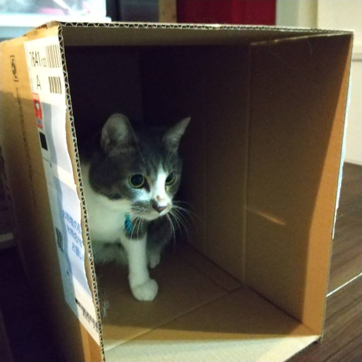 Bb39326e f9d3 42dd bb88 bb52849be0a0 1635717295060