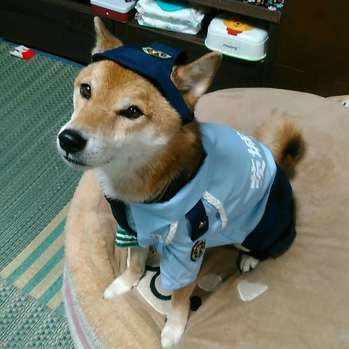 Bb39593b d362 4c42 972f 41746c023a85 1567857382581