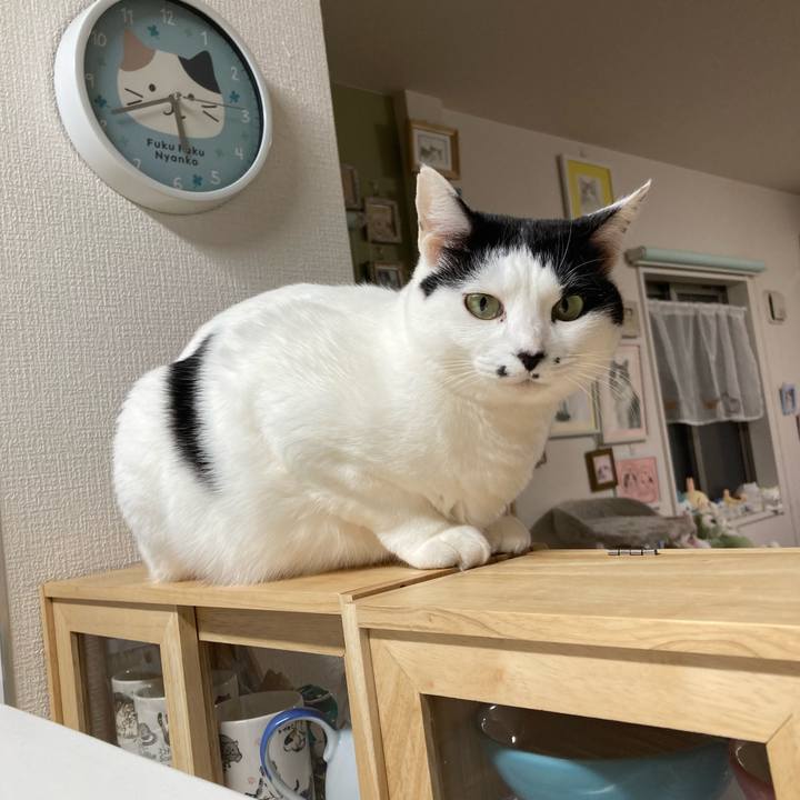 Bb3963df 23bd 46da 8b0e 8b219291e181 1770756700466