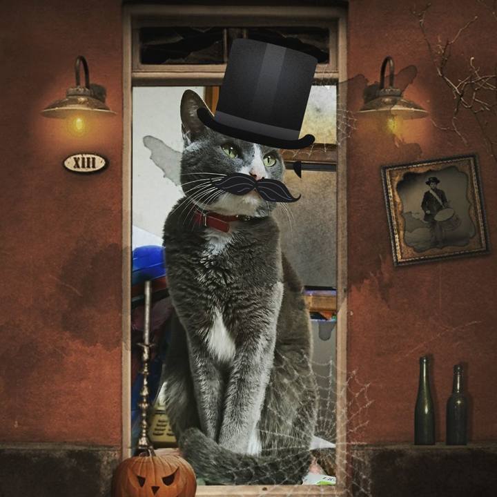 Bb3984d5 5891 48b6 9a1d cc463f6e3ff8 1509418925409