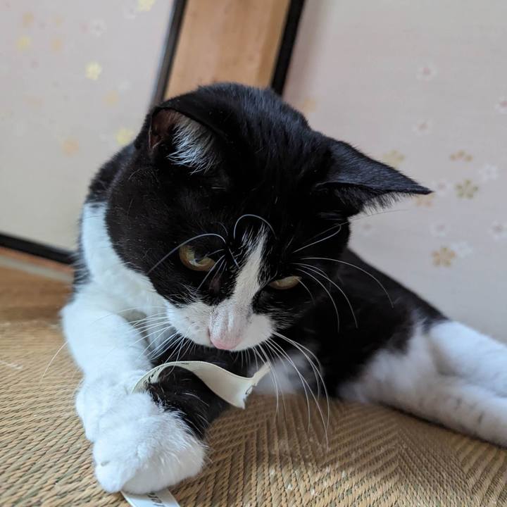 Bb398b62 cc9d 460e 8ae9 fd7f15cda18c 1696303895038