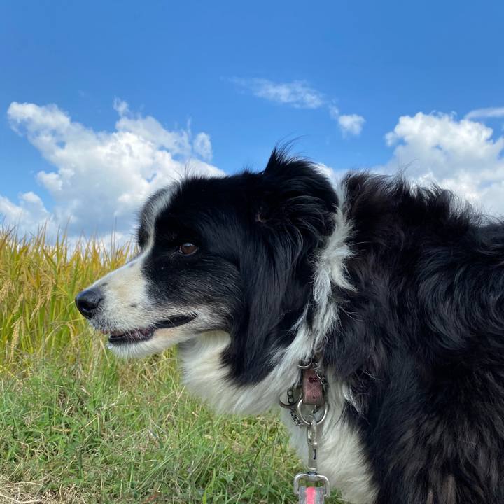 Bb399f01 c14a 4643 a3dd 3da083490f05 1697336857307