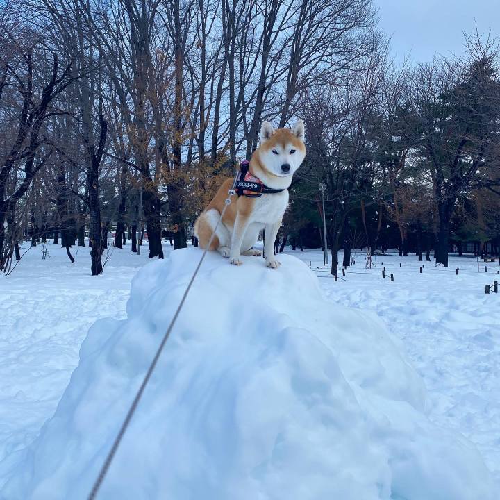 Bb39aecb 57f4 4f52 8a9d a13d607cdb3b 1672057609552