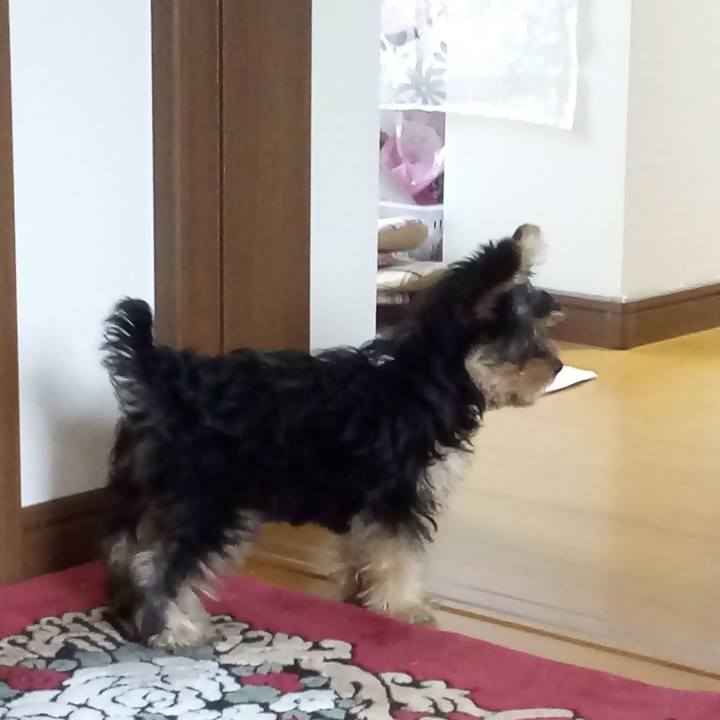 Bb39b00f b14e 4e22 aa67 21223e456f95 1590922203932