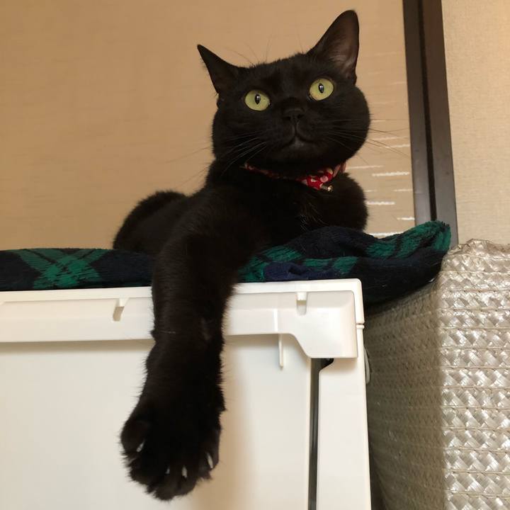 Bb39d2d7 f037 4f91 abc5 35297b348773 1608763546248