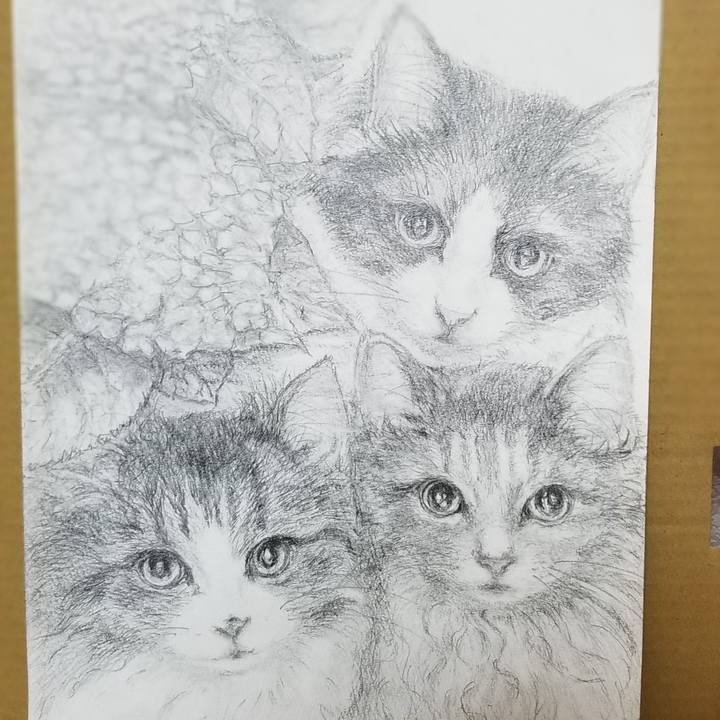 Bb39d592 ad46 4d36 9eeb 1877aab54169 1590902138117