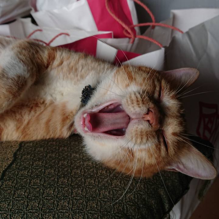 Bb3a6d7f acb0 4d25 9a86 b1dafbcf19c3 1566883197047