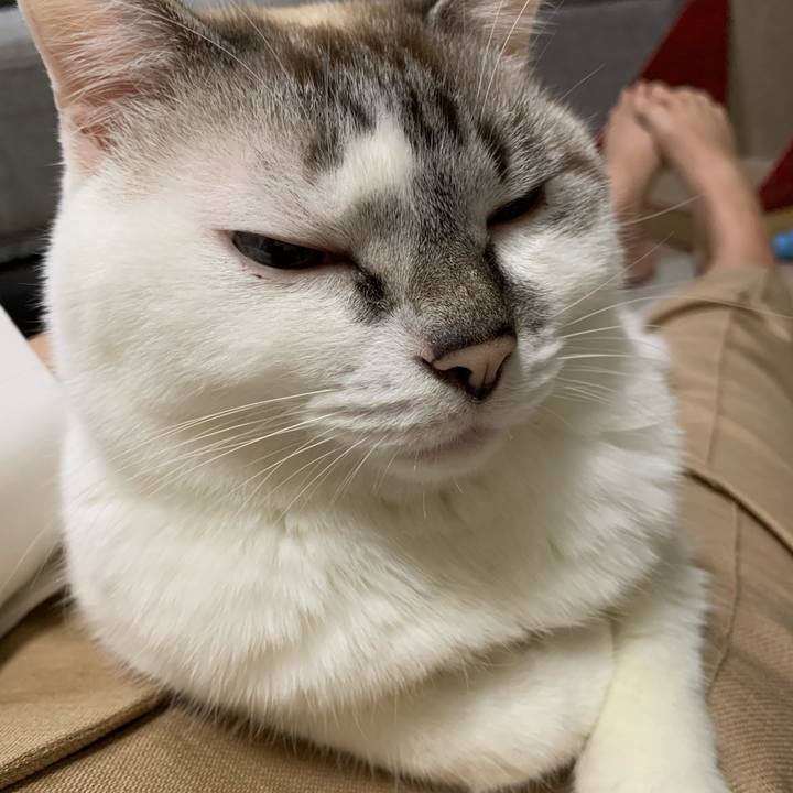 Bb3a9760 f32e 4208 90a1 1f7a92e44b56 1605694947299