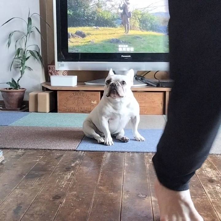 Bb3ae51b 4374 4fd6 8354 b8261298bb7d 1684710344725