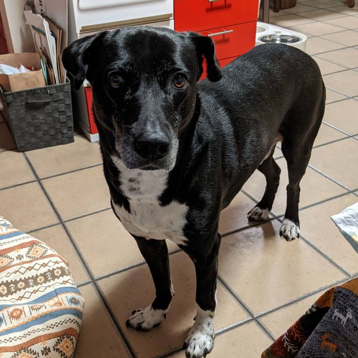 Bb3b0e14 532f 47b8 8c1b d3a421175b73 1705746975861