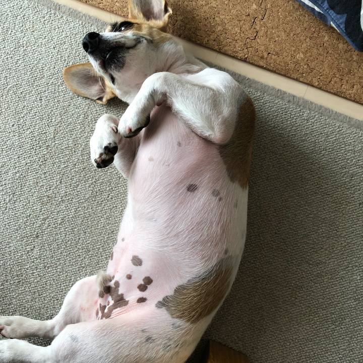 Bb3b9bac 8114 49a2 98c0 43f4ce101ee3 1569556770591