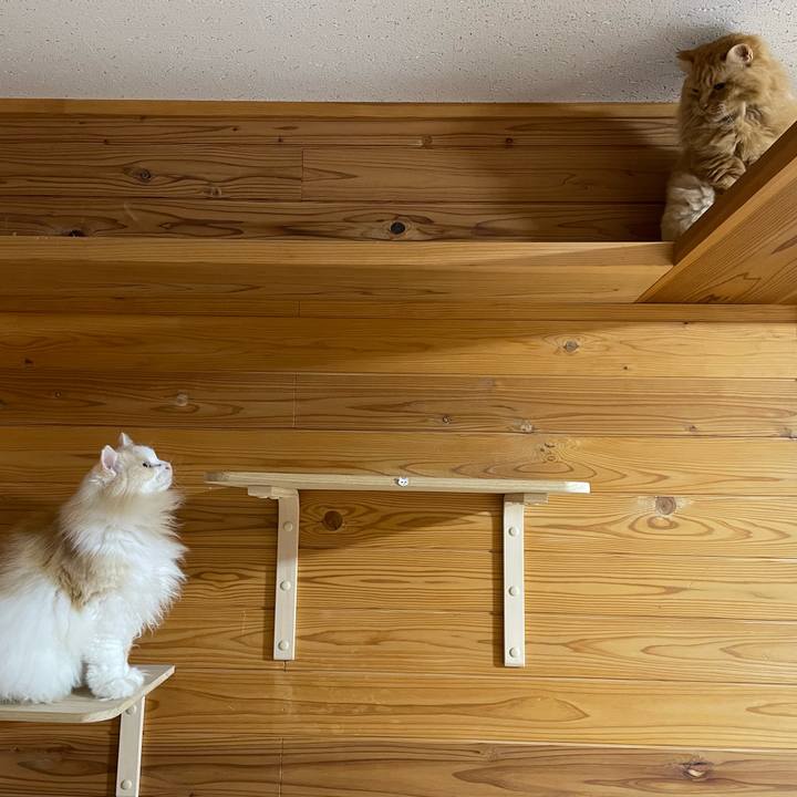 Bb3bd0a1 79dc 42aa aa0d 7eefbefb81f6 1770329718500