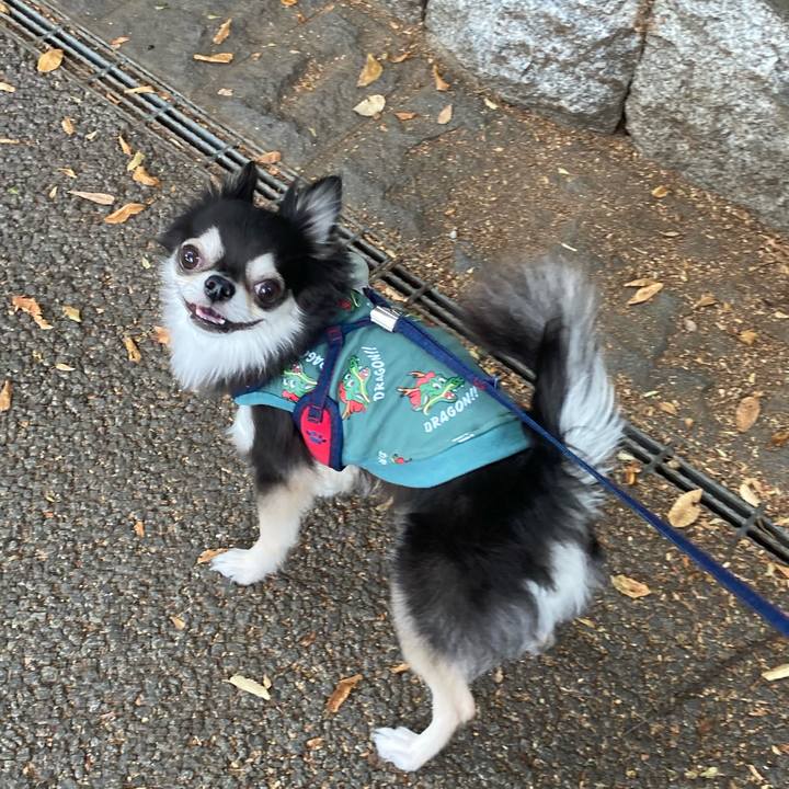 Bb3be26b 78d3 4421 bbbc f448e9abb490 1699182143205