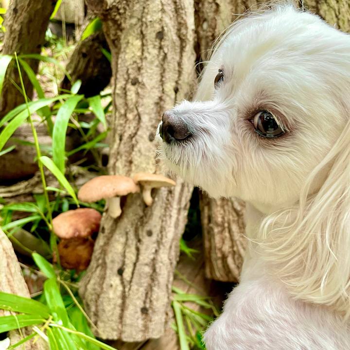 Bb3be6ac c5b6 40a9 8b26 c146ffd45085 1626242711767