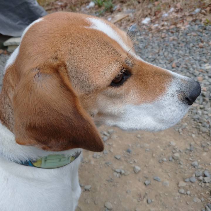 Bb3bee7d b986 4aa7 98fe 129932e5a706 1607851407286