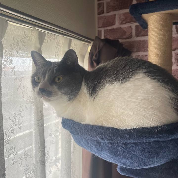 Bb3c50d2 5dd5 4340 9e40 12bcd04978bd 1677715053983