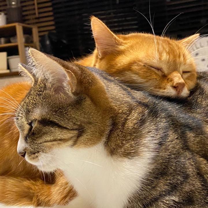 Bb3c6718 6766 4180 b394 28f3a58c3caa 1610925063990