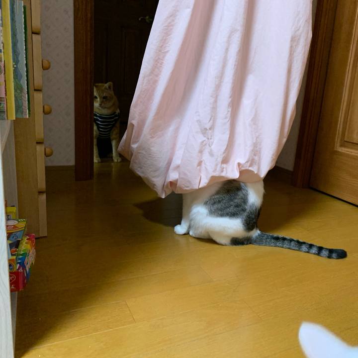 Bb3c6d3e 7965 4634 a910 e183cb5d9042 1612561261372