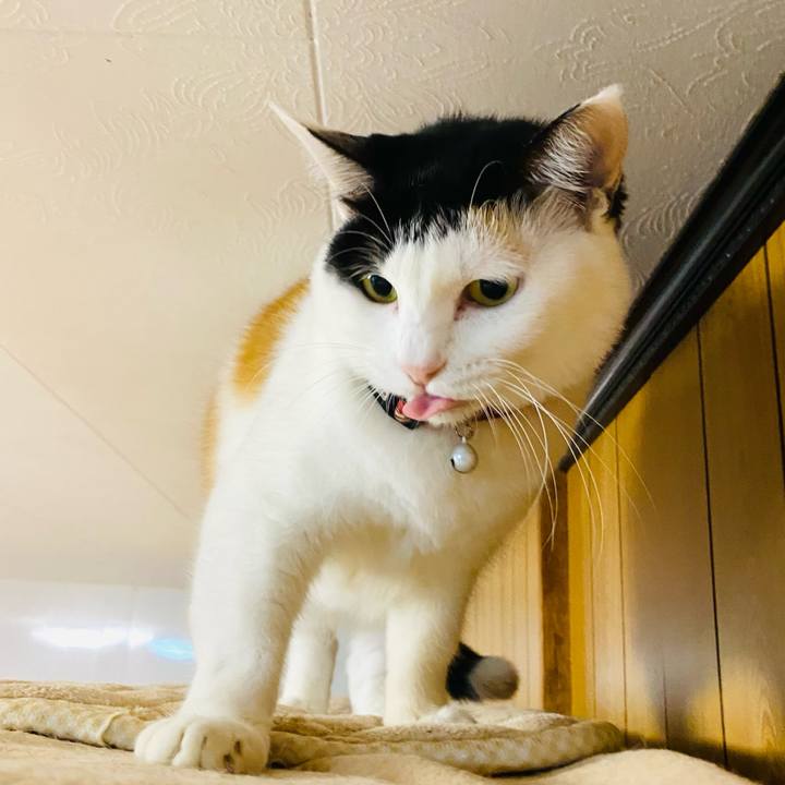 Bb3c7fcd 6113 4f49 bf8e 2fd1500ca9a0 1667134709104