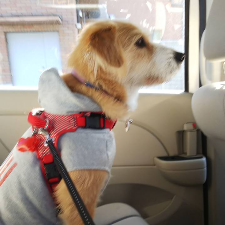 Bb3ca29b f0c0 471d 8765 6ed929afaab5 1547860651851