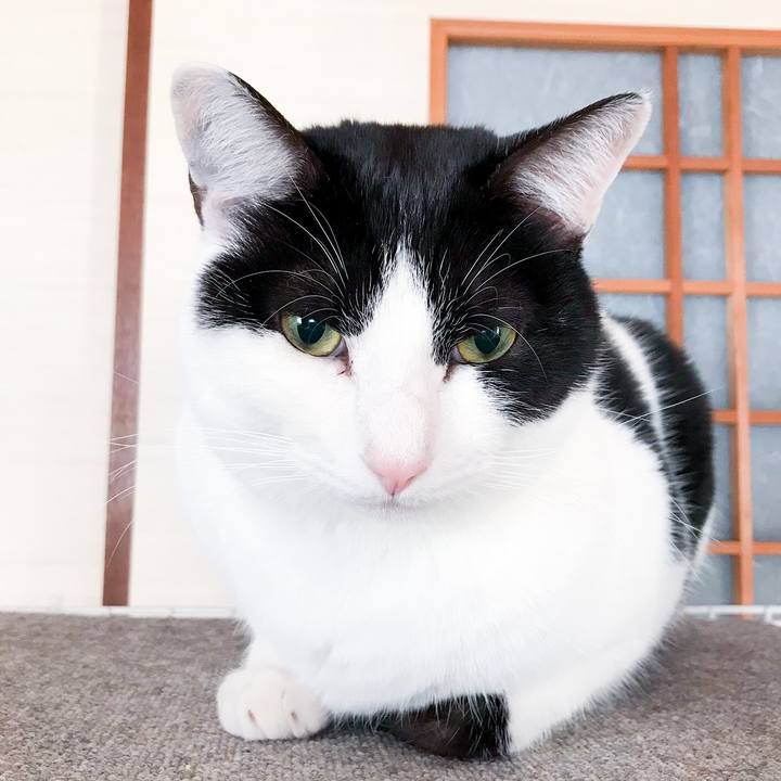 Bb3cacc1 8846 40ee a530 14167be233fe 1515123232168