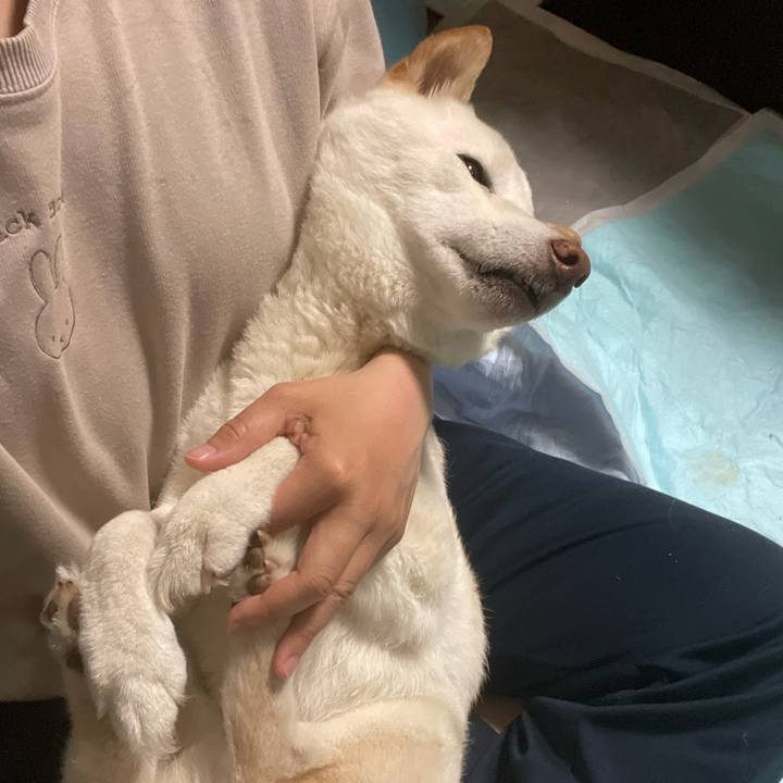 Bb3ce31a d444 44d8 be2d 9c2e9c865878 1648230920971