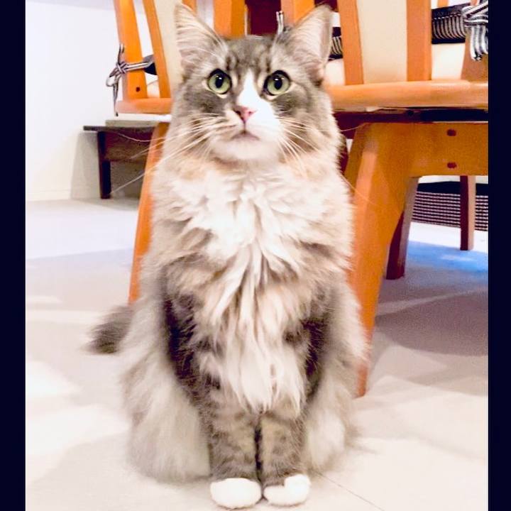 Bb3ce465 c440 41c3 97fa 5e36612c0e94 1616952163327