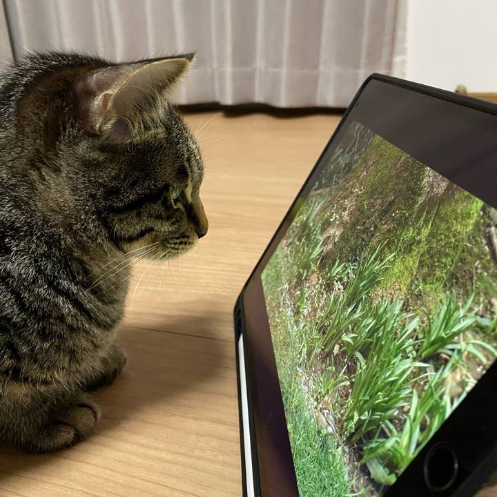 Bb3d4dc1 3477 4517 ac70 b77903fa1f34 1615805879576