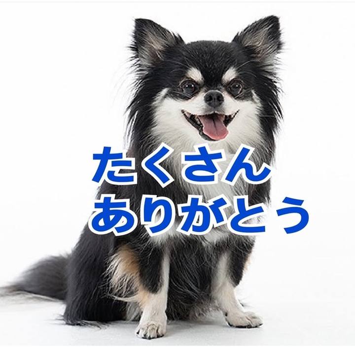 Bb3d9bff 163b 4019 bdc4 96266fedcb2e 1758862216357